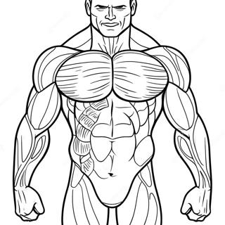 Muscle Anatomy Coloring Page 50543-40347