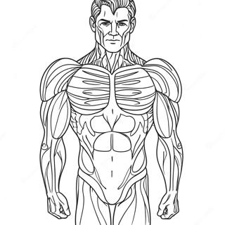 Muscle Anatomy Coloring Page 50543-40348