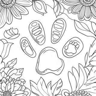 Colorful Paw Print Coloring Page 50564-40364