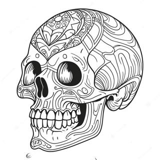 Skull Crawler Coloring Page 50633-40415