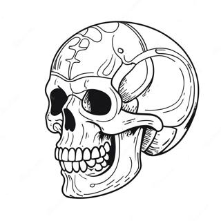 Skull Crawler Coloring Page 50633-40416