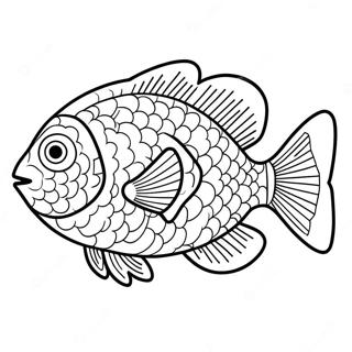 Piranha Coloring Page 50763-40528