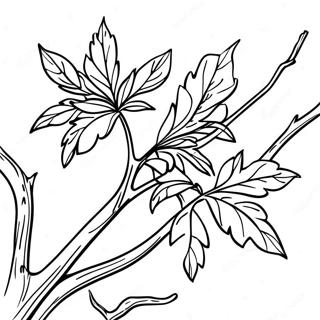 Leafy Tree Branch Coloring Page 50974-40688