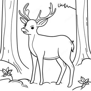 Realistic Deer For Adults Coloring Pages