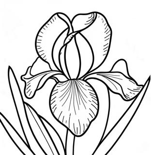 Iris Coloring Pages