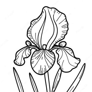 Iris Flower Coloring Page 52183-41650