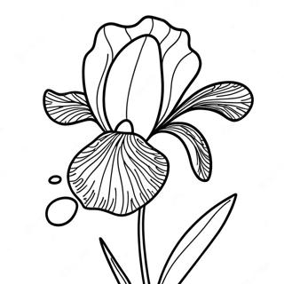 Iris Flower Coloring Page 52183-41651