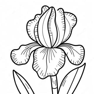 Iris Flower Coloring Page 52183-41652