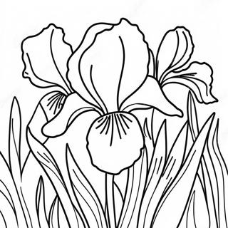 Beautiful Iris Garden Coloring Page 52184-41653