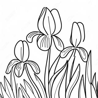 Beautiful Iris Garden Coloring Page 52184-41654