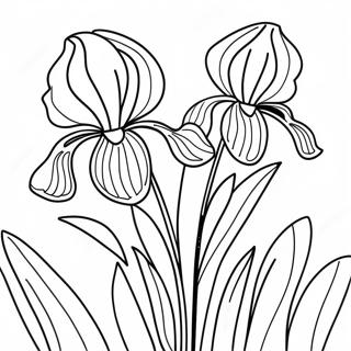 Beautiful Iris Garden Coloring Page 52184-41655