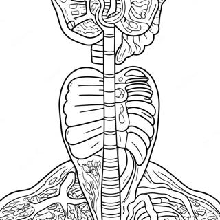 Digestive System Anatomy Coloring Page 53193-42457