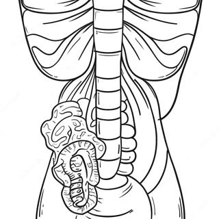 Digestive System Anatomy Coloring Page 53193-42458