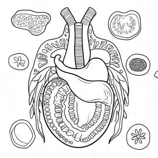 Colorful Digestive Organs Coloring Page 53194-42466