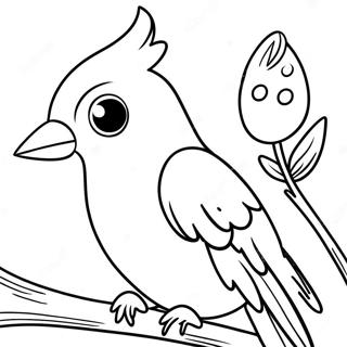 Cockatiel Coloring Page 53223-42483