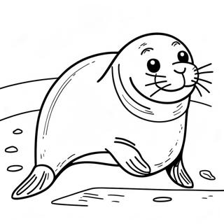 Seal Coloring Page 5356-4383