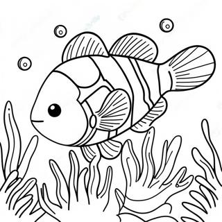 Clownfish Coloring Page 54483-43481