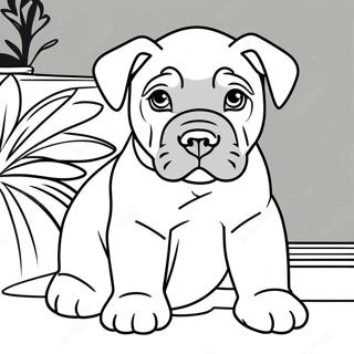 Cane Corso Coloring Pages