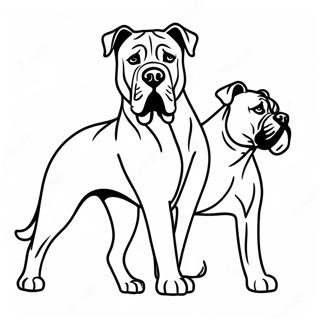 Majestic Cane Corso Coloring Page 54754-43701