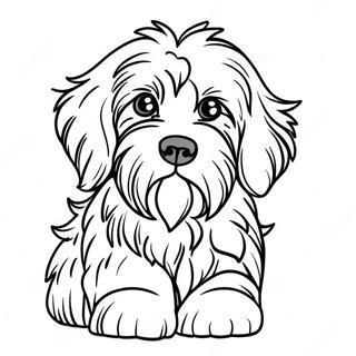 Aussiedoodle Coloring Page 54803-43737