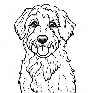 Aussiedoodle Coloring Page 54803-43740