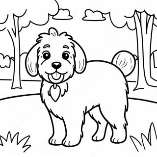 Playful Aussiedoodle In A Park Coloring Page 54804-43742