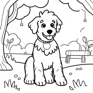 Playful Aussiedoodle In A Park Coloring Page 54804-43744