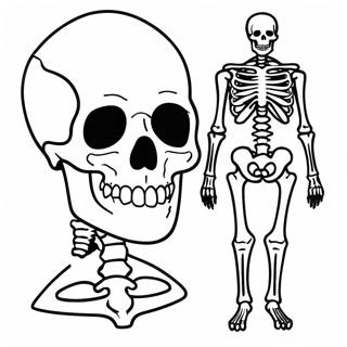 Xray Skeleton Coloring Page 55673-44424