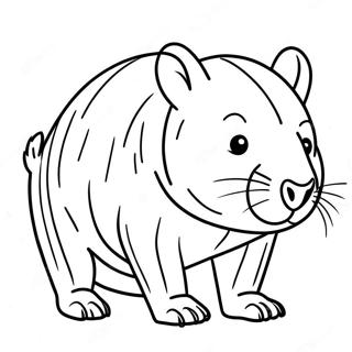 Wombat Coloring Pages