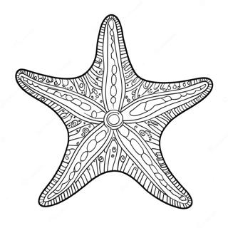 Starfish Coloring Page 5786-4732