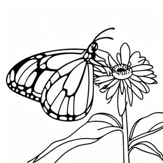 Monarch Butterfly Coloring Pages