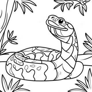 Colorful Boa Constrictor In Jungle Coloring Page 58144-46654