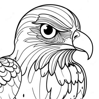 Birds Of Prey Coloring Pages