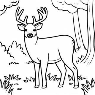 White Tailed Deer Standing In Forest Coloring Page 58843-47210