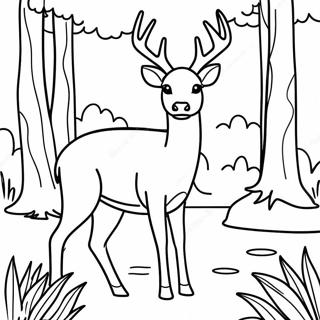 White Tailed Deer Standing In Forest Coloring Page 58843-47211