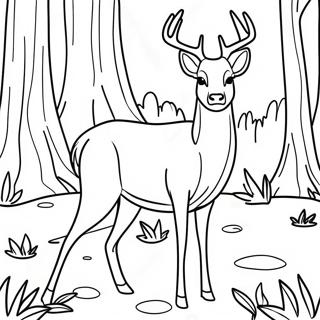 White Tailed Deer Standing In Forest Coloring Page 58843-47212