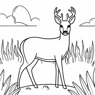 Graceful White Tailed Deer In Meadow Coloring Page 58844-47214