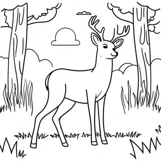 Graceful White Tailed Deer In Meadow Coloring Page 58844-47216