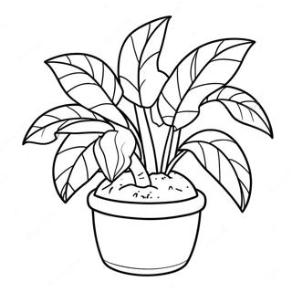 Audrey Ii Plant Coloring Page 60474-48506