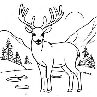 Mule Deer Coloring Pages