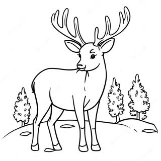 Mule Deer Coloring Page 61363-49214