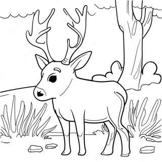 Mule Deer Coloring Page 61363-49215