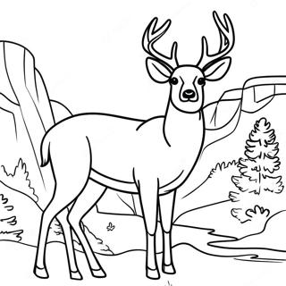 Mule Deer Coloring Page 61363-49216