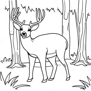 Majestic Mule Deer In Forest Coloring Page 61364-49217