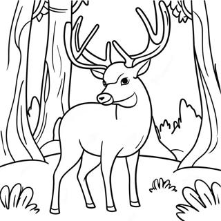 Majestic Mule Deer In Forest Coloring Page 61364-49218