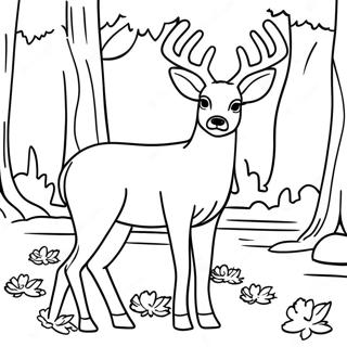 Majestic Mule Deer In Forest Coloring Page 61364-49219