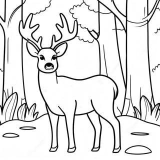 Majestic Mule Deer In Forest Coloring Page 61364-49220