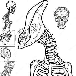 X Ray Coloring Page 61403-49247