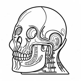 X Ray Coloring Page 61403-49248