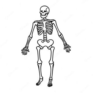 Detailed X Ray Skeleton Coloring Page 61404-49250